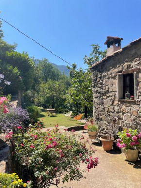 Adorable gîte - Le figuier